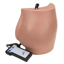 3B Scientific Buttock Injection Simulator - Medex Supply