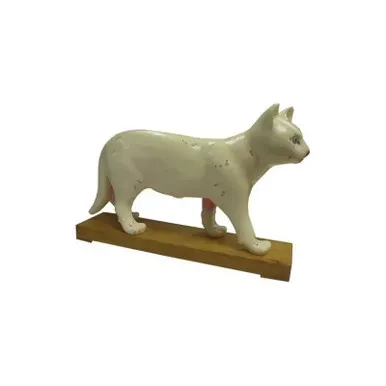 Acuzone - Model-Cat(Xc-605) - Xc - 605 Cat Acupuncture