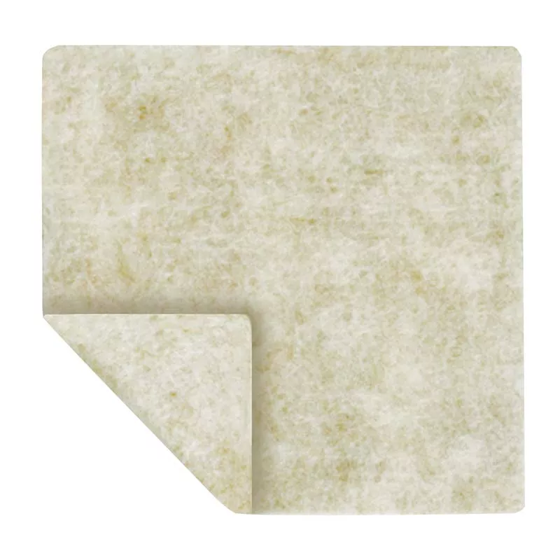 Algicell Ag Antimicrobial Silver Dressing 2 x 2