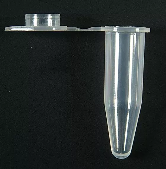 Axygen™ PCR Tubes with 0.5 mL Flat Cap - Medex Supply