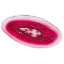 Chest Wound, 800-832 - Medex Supply