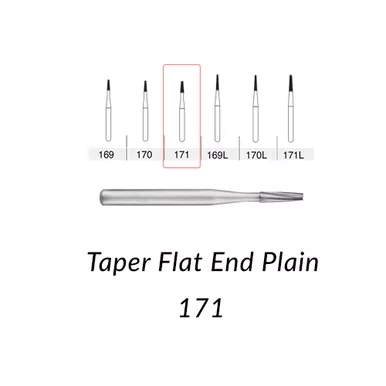 FG Carbide 171 - 10 Pack