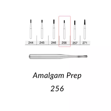 FG Carbide 256 - 10 Pack