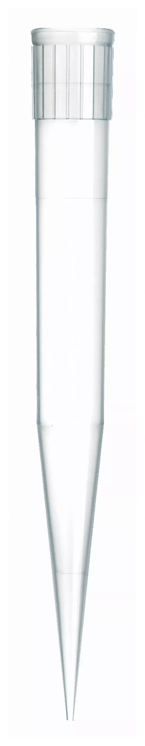 Fisherbrand Maxi Pipet Tips 152 mm | Buy Online | Fisher Scientific