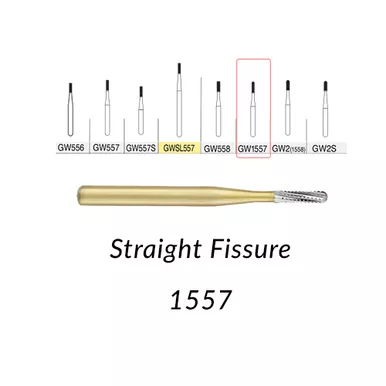 Great White Gold Carbide GW1557, 10 Pack