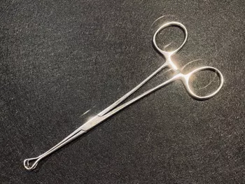 Jarit 135-181 Babcock Forceps, 6"