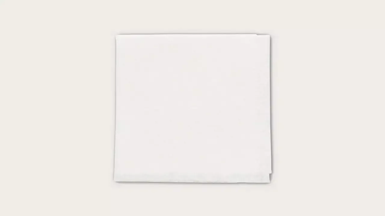 Mesalt Dressing 10cm X 10cm