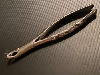 Miltex Dental 101 Hull Forceps
