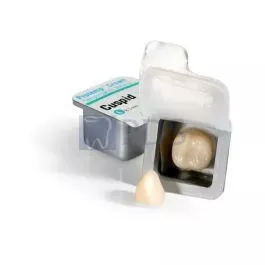 Protemp™ Crown Temporization Material Cuspid Large 3M™ ESPE™ 50617