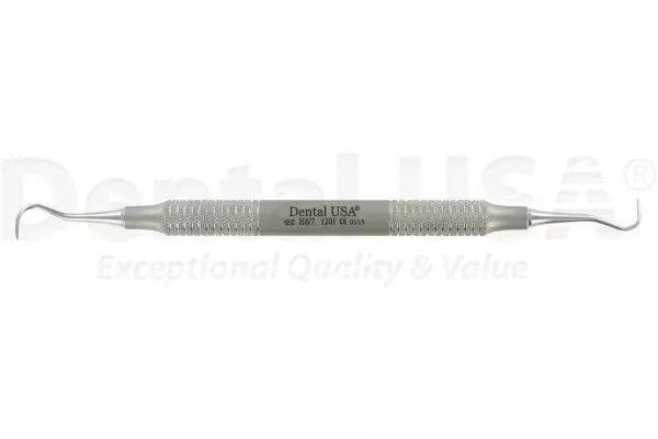 Sickle Scalers Hygienist H6/7