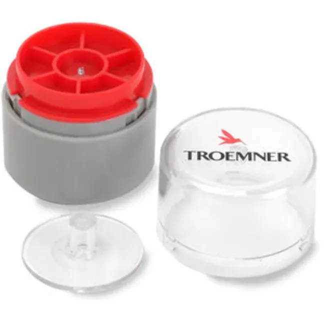 Troemner Individual Analytical Precision Weights, Class 4 1 mg | Buy Online | Troemner™ | Fisher Scientific