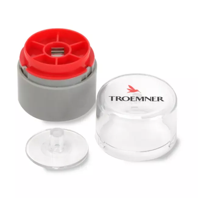 Troemner Individual Analytical Precision Weights, Class 4 300 mg | Buy Online | Troemner™ | Fisher Scientific